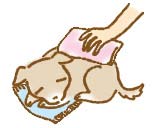 �y�b�g�����S������ �y�b�g���V�̕��@ 