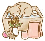 �y�b�g�̈�̈��u���@ �y�b�g���V�̕��@ 