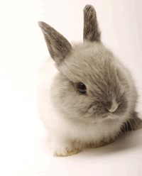 �������Α��E�e���V